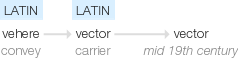 Ety img vector.png