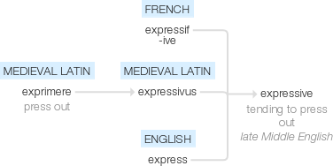 Ety img expressive.png