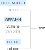 Ety img shin.png
