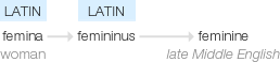 Ety img feminine.png