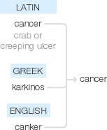 Ety img cancer.png