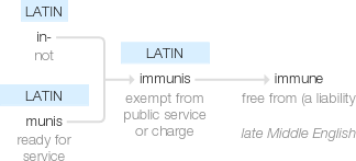 Ety img immune.png