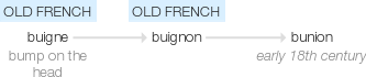 Ety img bunion.png