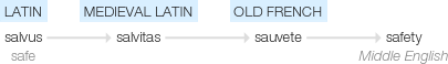 Ety img safety.png
