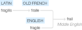 Ety img frail.png