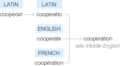 Ety img cooperation.png