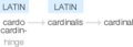 Ety img cardinal.png