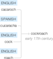 Ety img cockroach.png