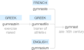 Ety img gymnast.png