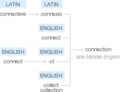 Ety img connections.png