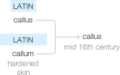 Ety img callus.png